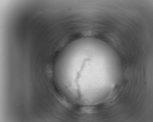 X0000069390179200605262126