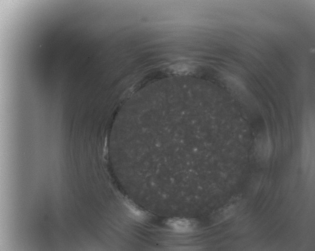 X0000069390181200605262126