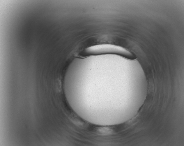 X0000069390183200605262126