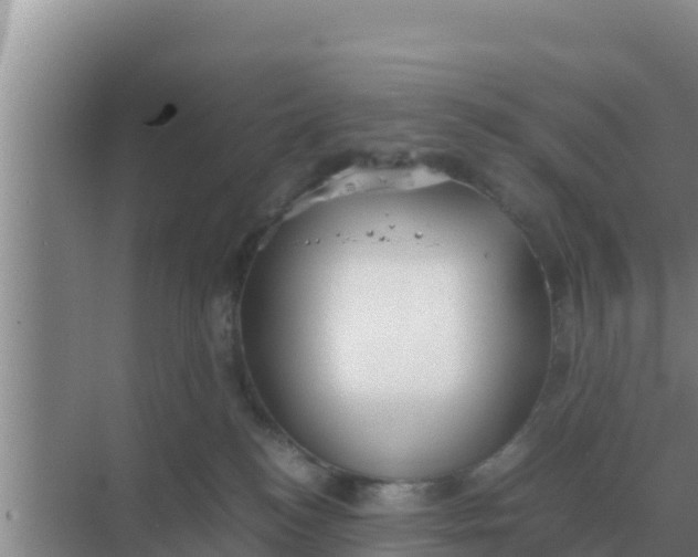 X0000069390184200605262126