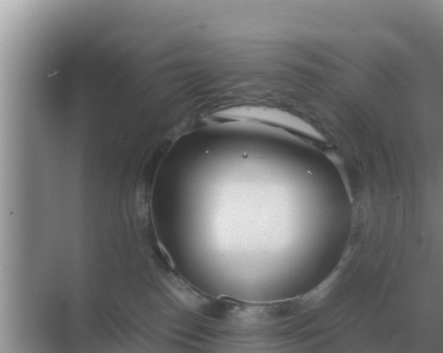 X0000069390186200605262126