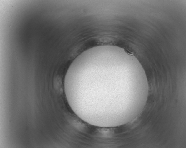 X0000069390187200605262126