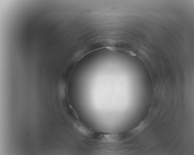 X0000069390188200605262126