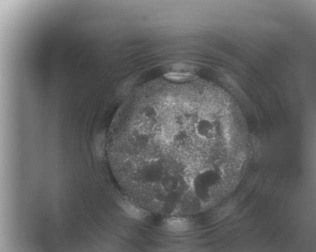 X0000069390189200605262126