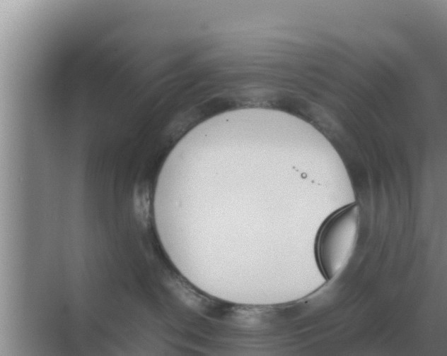 X0000069390190200605262126