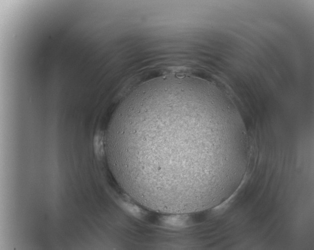 X0000069390191200605262126