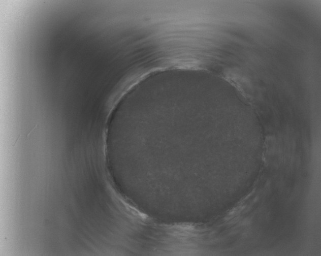 X0000069390194200605262125