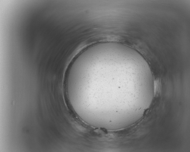 X0000069390195200605262125