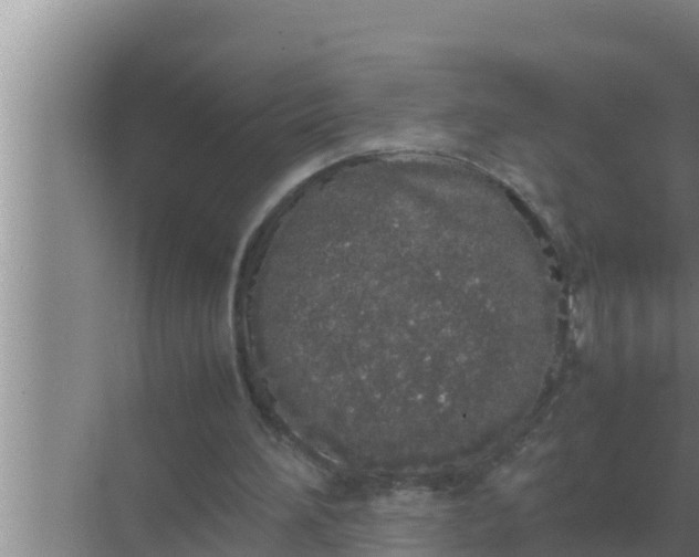 X0000069390196200605262125