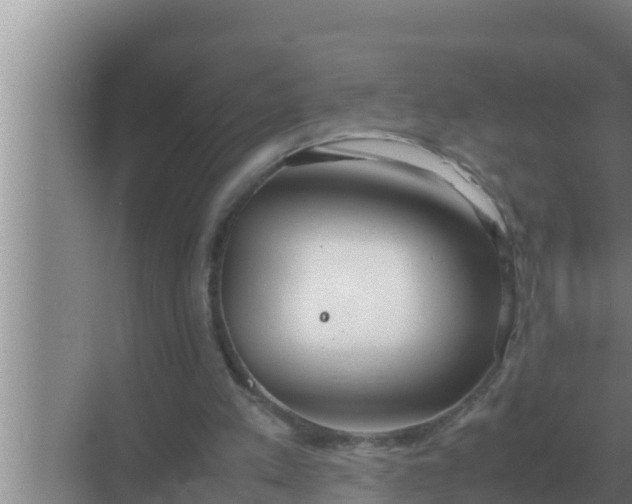 X0000069390197200605262125