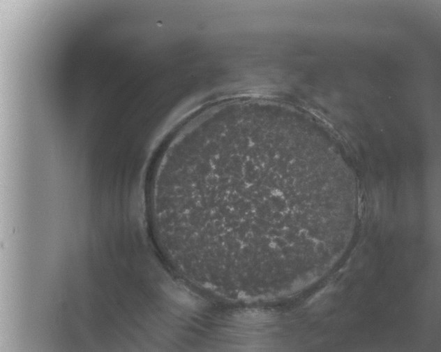 X0000069390198200605262125