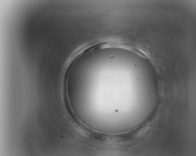 X0000069390199200605262125