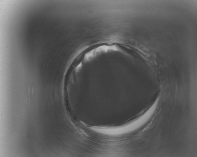 X0000069390200200605262125