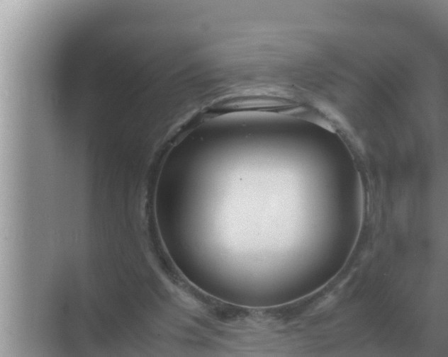 X0000069390201200605262125