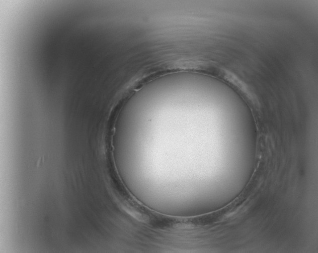 X0000069390203200605262125