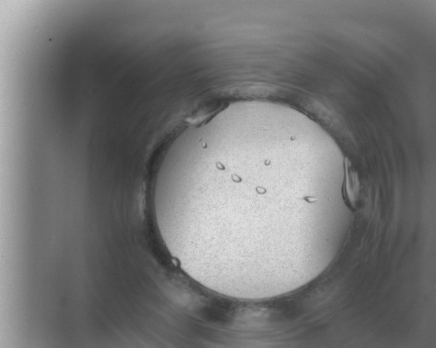 X0000069390206200605262125