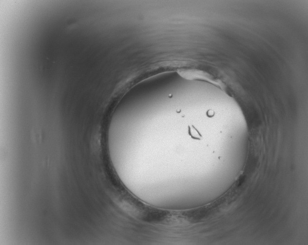 X0000069390207200605262125