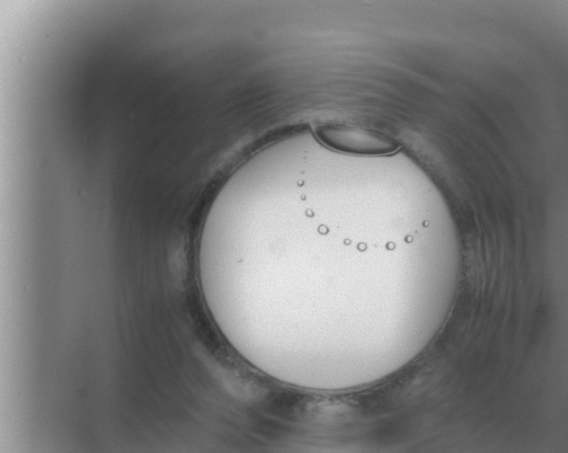 X0000069390208200605262125