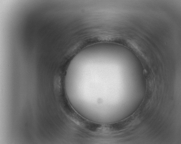 X0000069390211200605262125