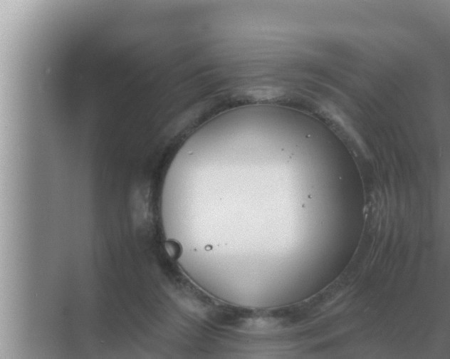 X0000069390212200605262125