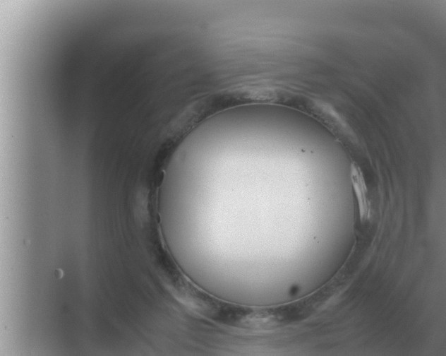 X0000069390213200605262125