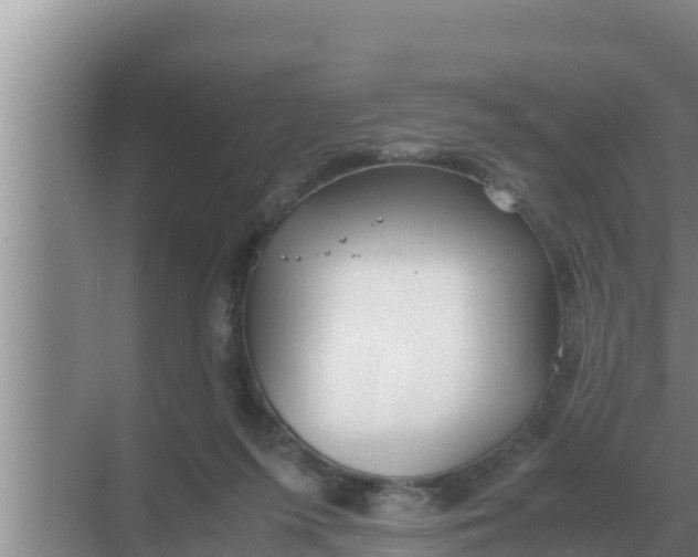 X0000069390215200605262125