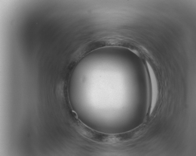 X0000069390217200605262125