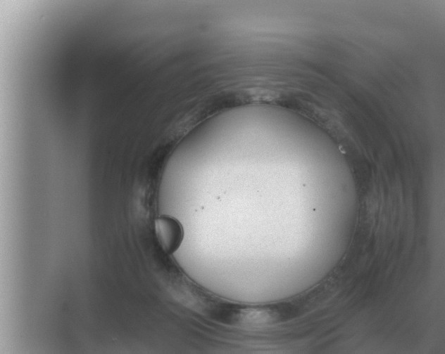 X0000069390218200605262125