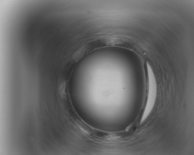 X0000069390219200605262125