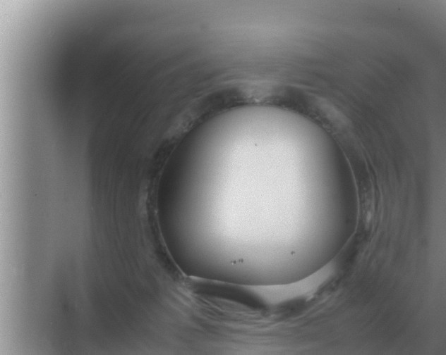 X0000069390221200605262125