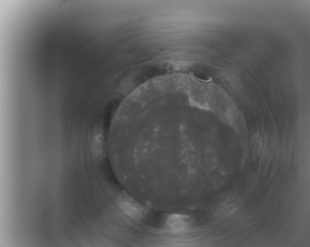 X0000069390222200605262125