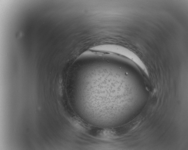 X0000069390223200605262125