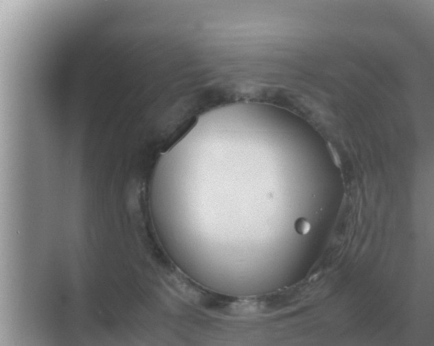 X0000069390225200605262125