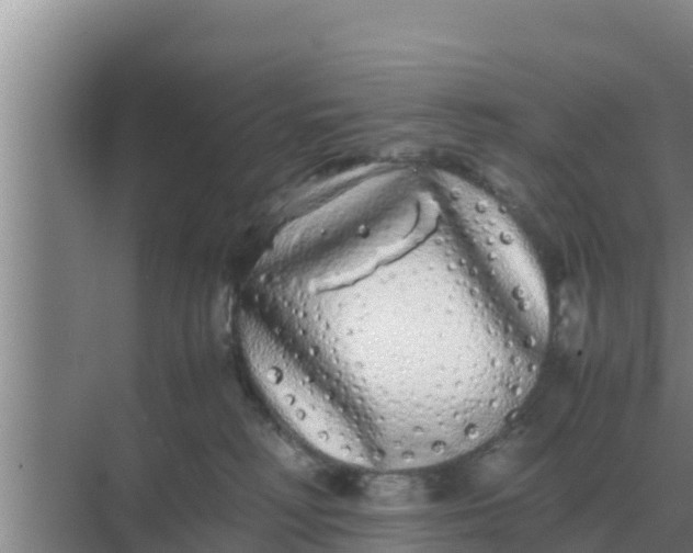 X0000069390230200605262125