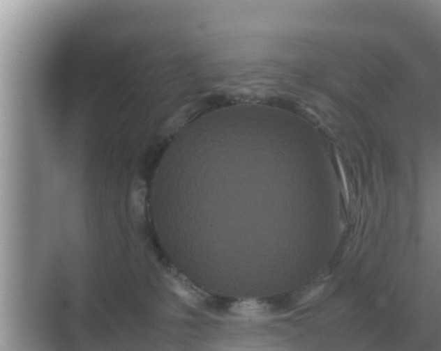 X0000069390231200605262124