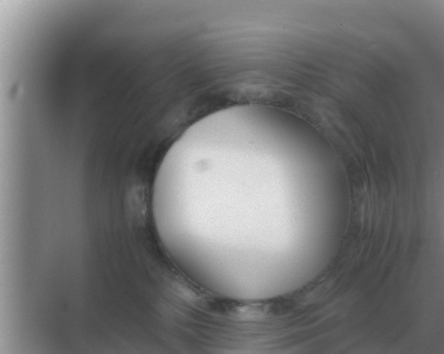 X0000069390232200605262124