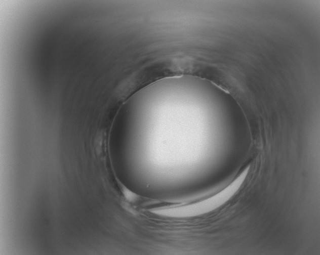 X0000069390233200605262124