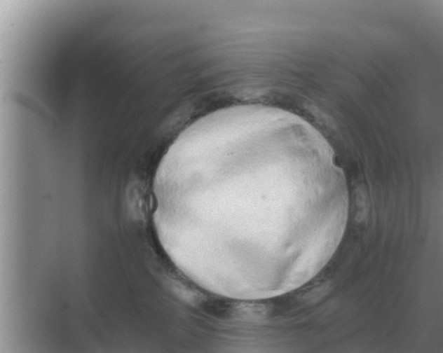 X0000069390234200605262124