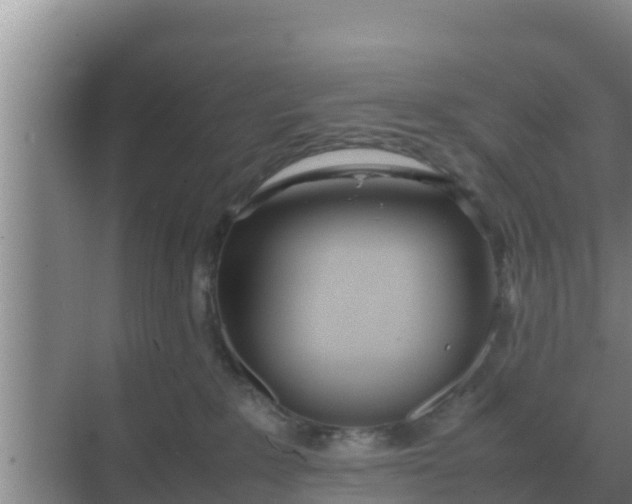 X0000069390235200605262124