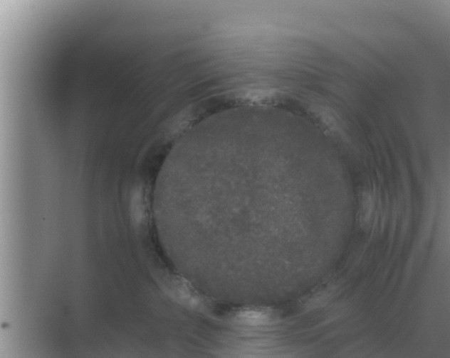 X0000069390236200605262124