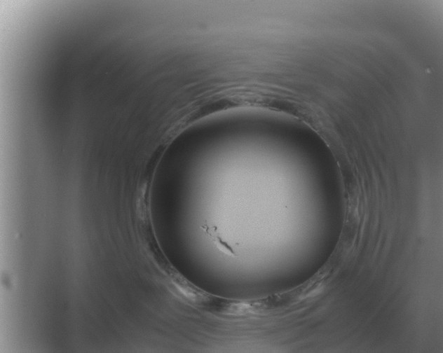 X0000069390239200605262124