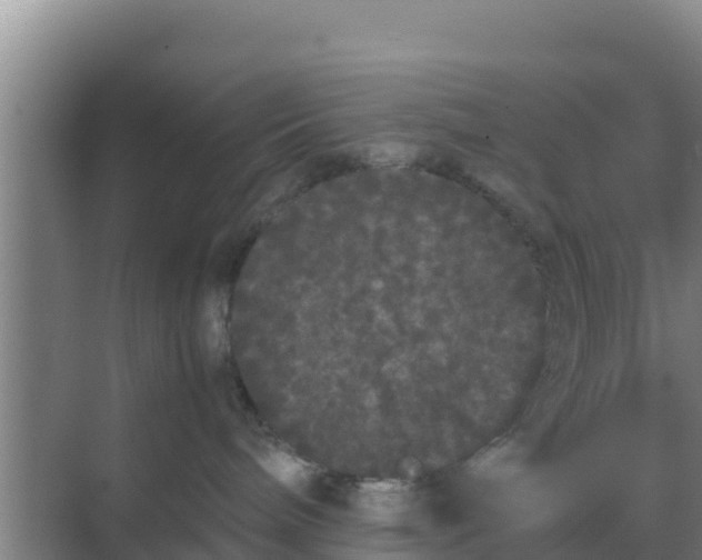 X0000069390240200605262124