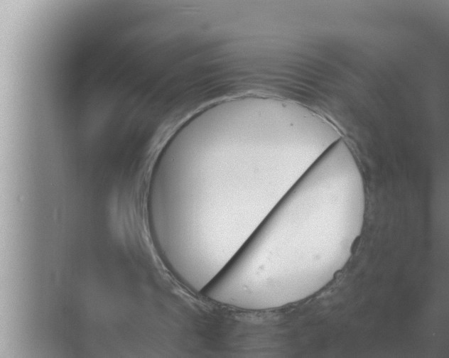 X0000069390241200605262124