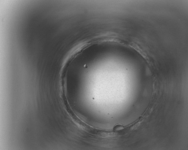 X0000069390245200605262124