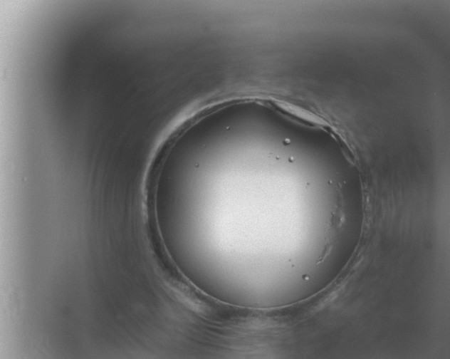 X0000069390246200605262124