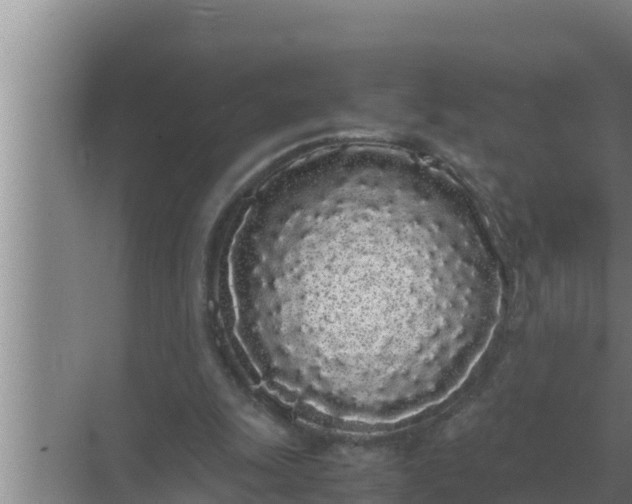 X0000069390247200605262124