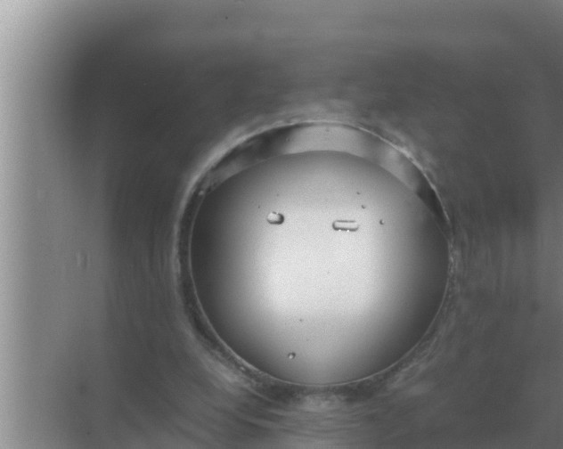 X0000069390248200605262124