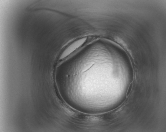 X0000069390249200605262124