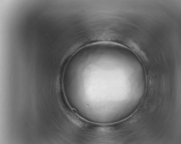 X0000069390250200605262124