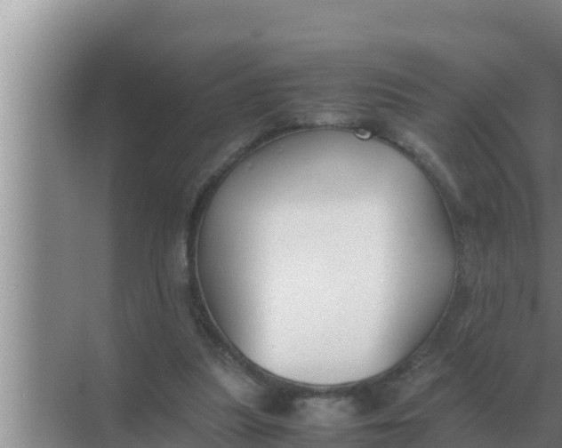 X0000069390251200605262124